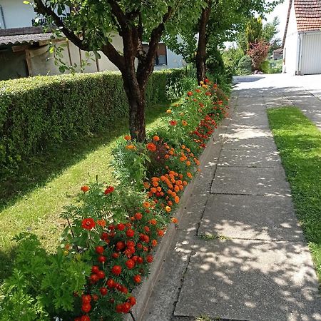 Apartman Skudar Bjelovar Exterior foto